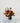 Fall Poppy Centerpiece