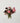 Seasonal Vase Flower Subscription