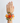 Signature Corsage
