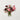 Everyday Flowers