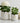 Resin Embossed Clouds Planter