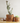 BUBBLY Planter | Natural Wood, 4 Inches