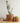 BUBBLY Planter | Modernized Pottery: Natural Wood / 4 Inches