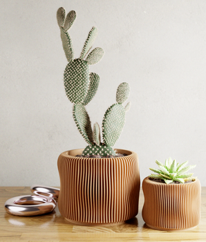 BUBBLY Planter | Natural Wood, 4 Inches