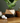 ICO Planter: Tan & Black, 7 Inches
