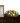 Remembrance Casket Spray