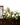 Floral arrangement on a casket with a white background