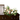 Floral arrangement on a casket with a white background