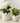 Resin Embossed Clouds Planter