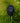 3-in-1 Moisture Meter | Black
