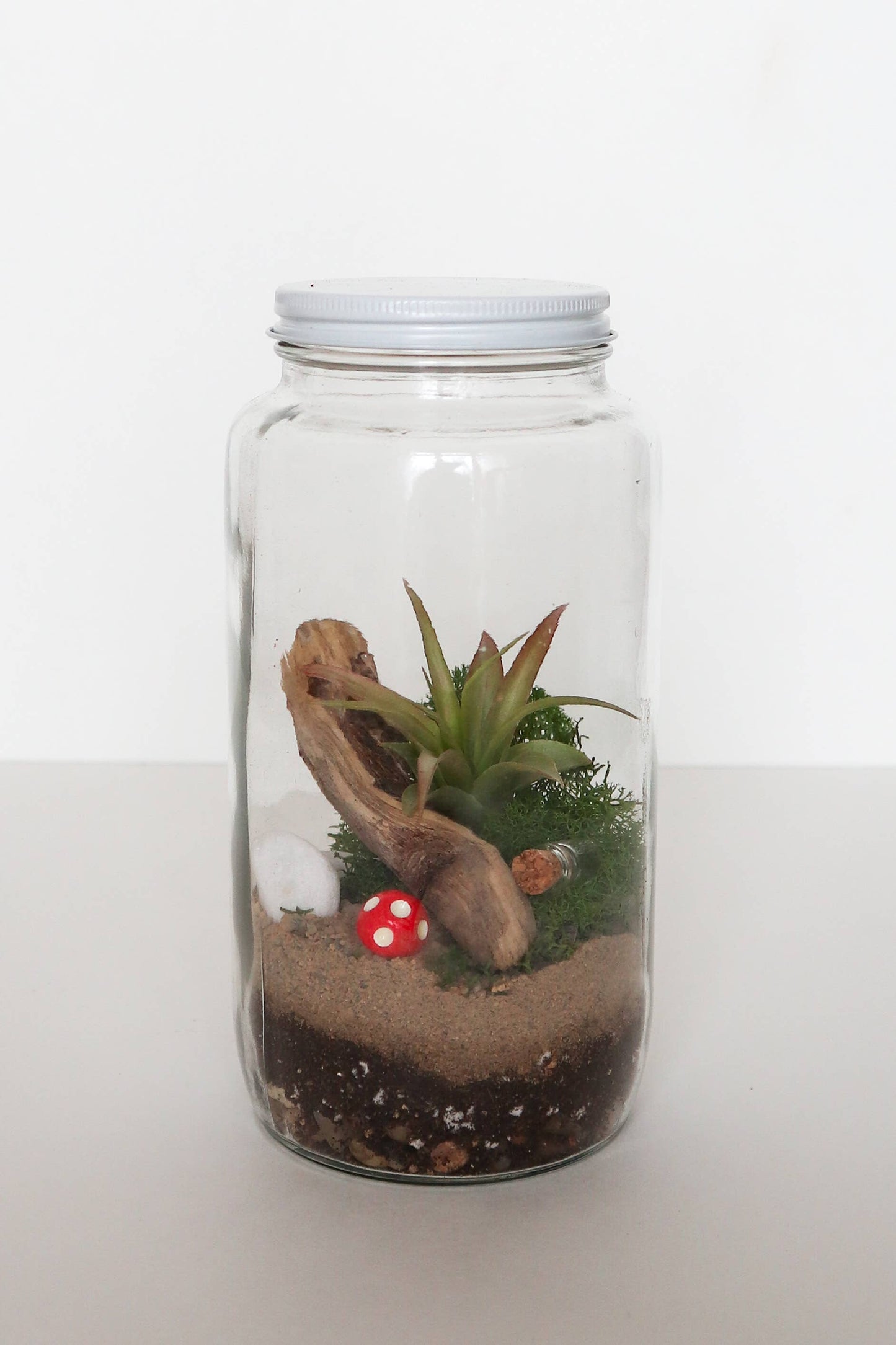 DIY Terrarium | Glass Plant Terrarium Kit