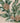 Paper Cocktail Napkins Gilded Swag Cream