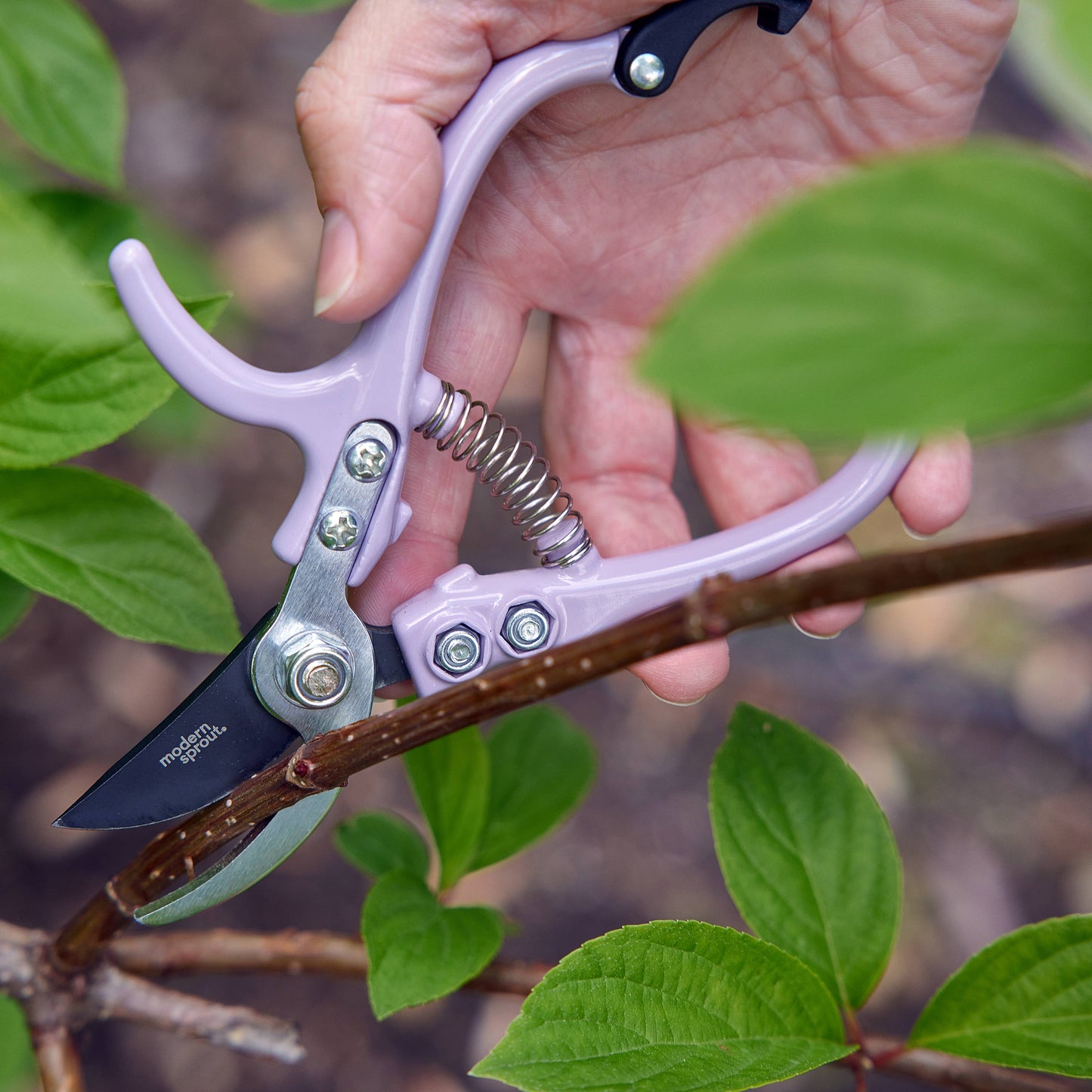 Garden Pruners: Lavender