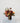 Fall Poppy Centerpiece