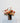 Fall Poppy Centerpiece