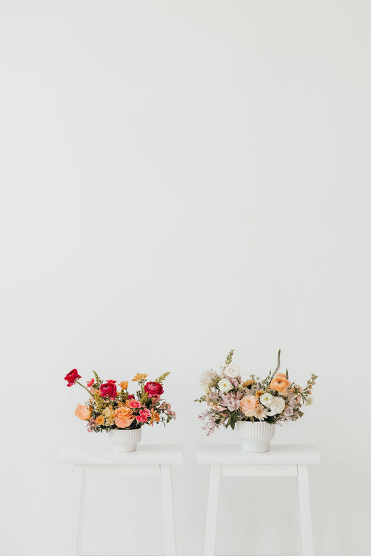 Daphne Bowl Arrangement