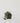 Potted Plants