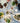 Rooted Kitchen