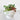Small white container with succulents on a light gray surface