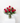 Roses Are... In a Vase
