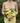 Signature Bouquet