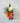 Signature Boutonnière