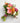 Signature Bouquet