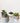 Potted Succulents and Cacti