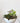 Succulent Garden