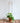 Metal Plant Stake - Gold