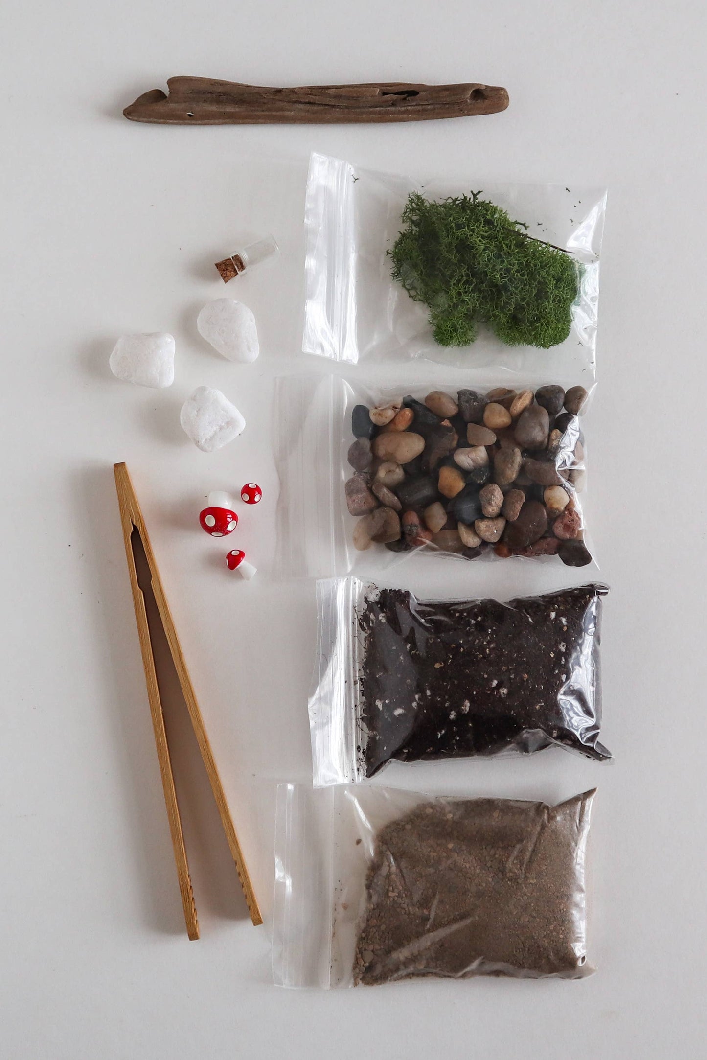 DIY Terrarium | Glass Plant Terrarium Kit