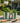 Green & White Striped Planter