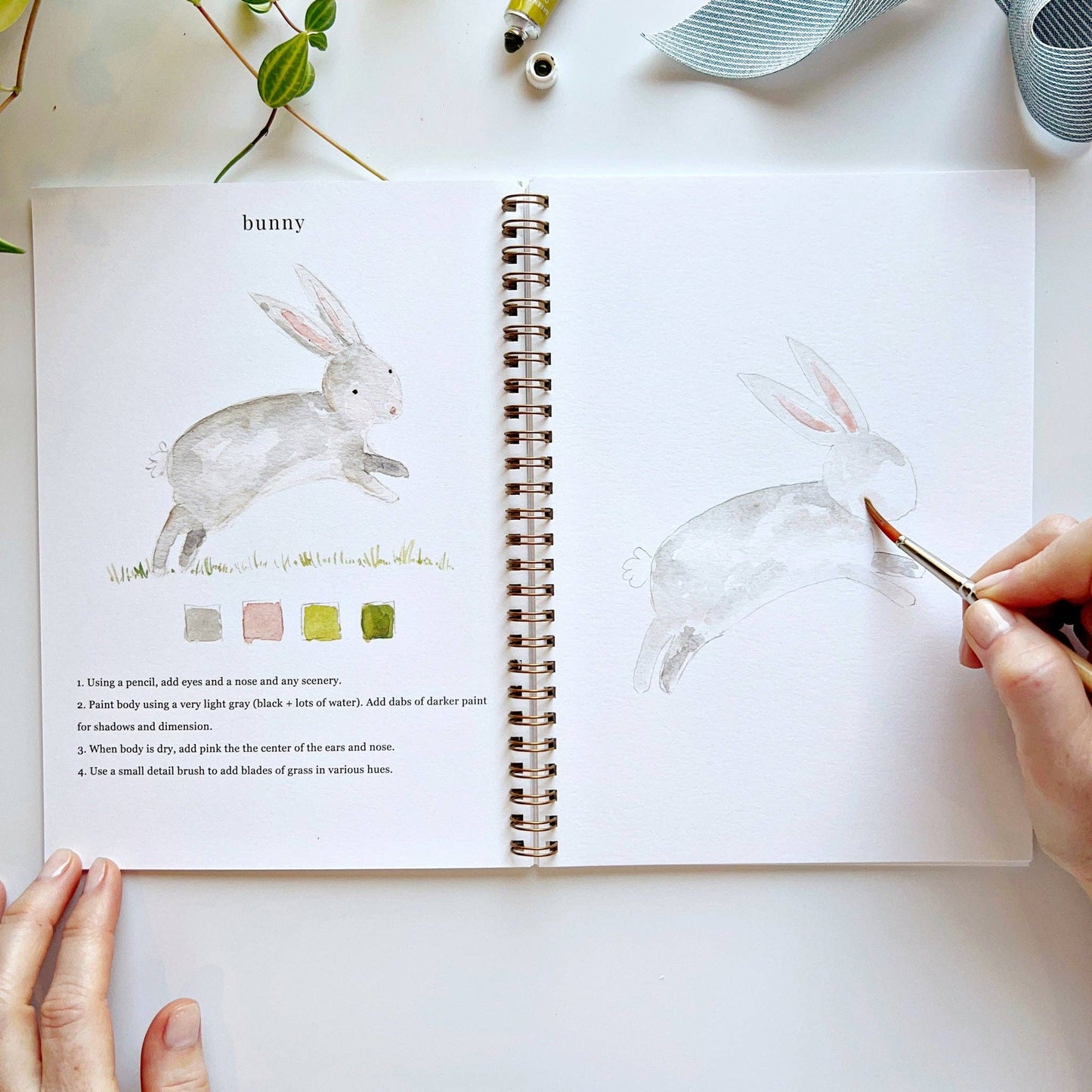 Animals watercolor workbook